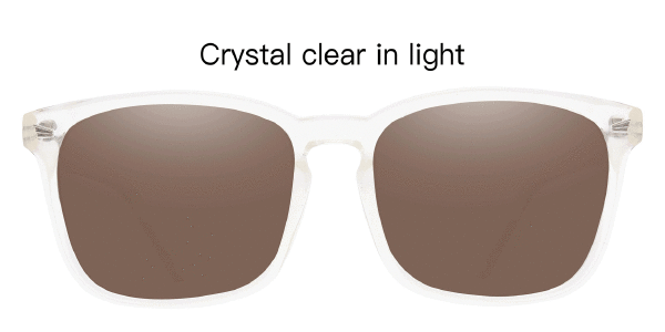 Landry Square sunglasses